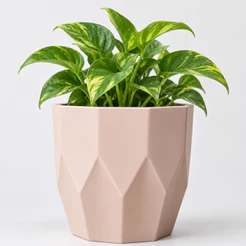 Vaso facetado médio N4 decorativo para plantas e ideal para centro de mesa casa sala cozinha