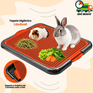 Tapete Higiênico Porquinho da Índia Coelho Lavável Promoção Envio Imediato