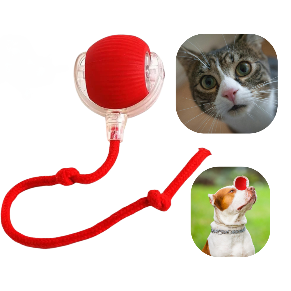 Bolinha Pet Giratória Interativa para Gatos e Cães – LED, USB e Movimento Automatico 360°