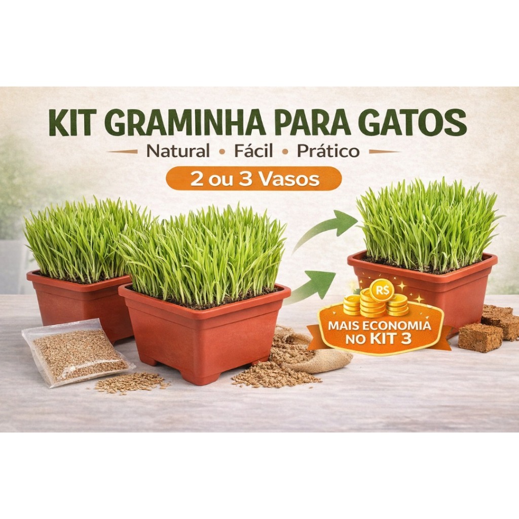 Kit Graminha para Gatos 2 ou 3 Vasos 13x13 – Ajuda Eliminar Bolas de Pelo | Plantio Fácil