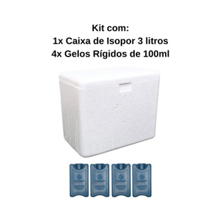 Caixa Térmica de Isopor 3 litros + 4 Gelos Reutilizáveis GR100 100ml em Oferta na Shopee