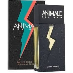 perfume masculino 100 ml ANIMALE FOR MEN