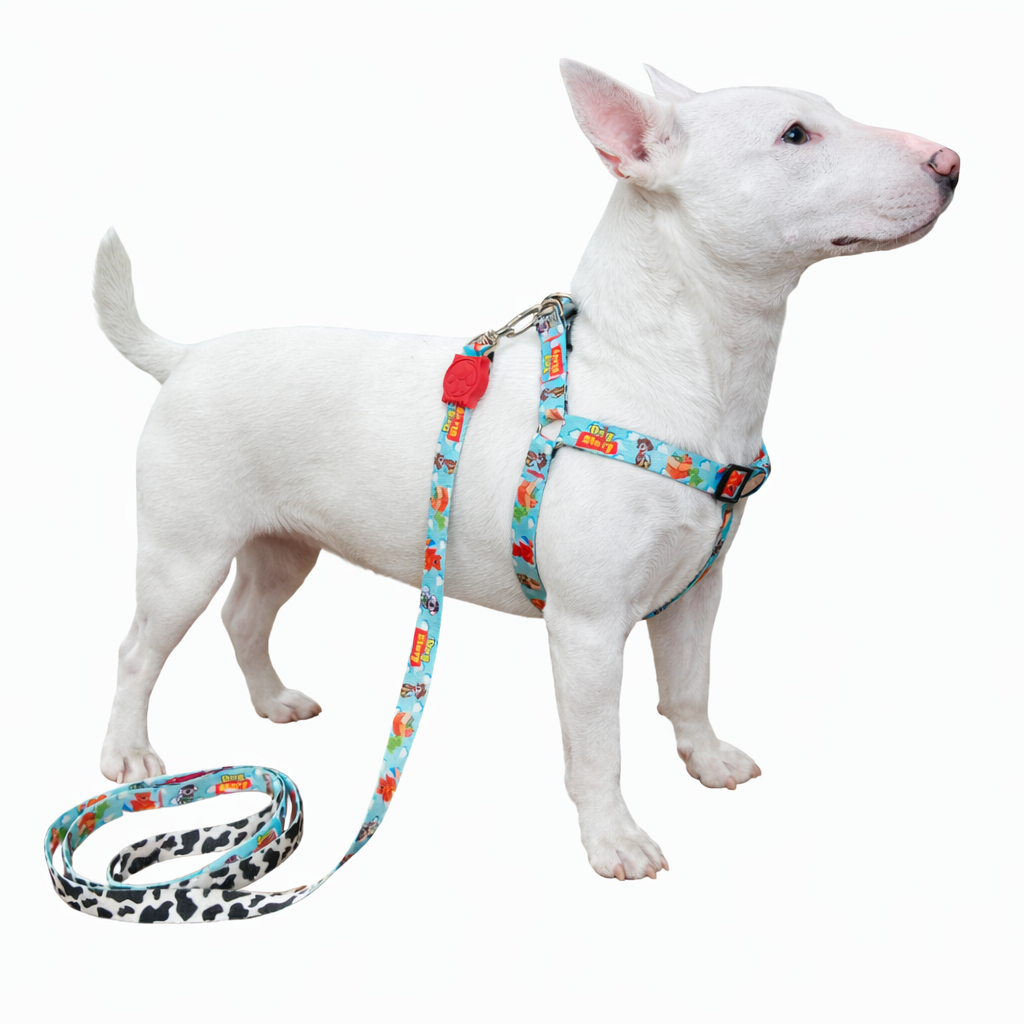 Coleira Peitoral para Cachorro de Personagens Pequenos e Médios com Guia Para Pet Colete Confortável