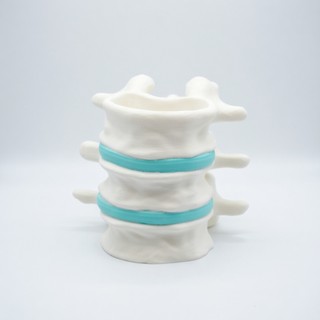 Porta Lápis Caneta Coluna Vertebral Design Anatômico Fisioterapia Medicina Enfermagem Anatomia