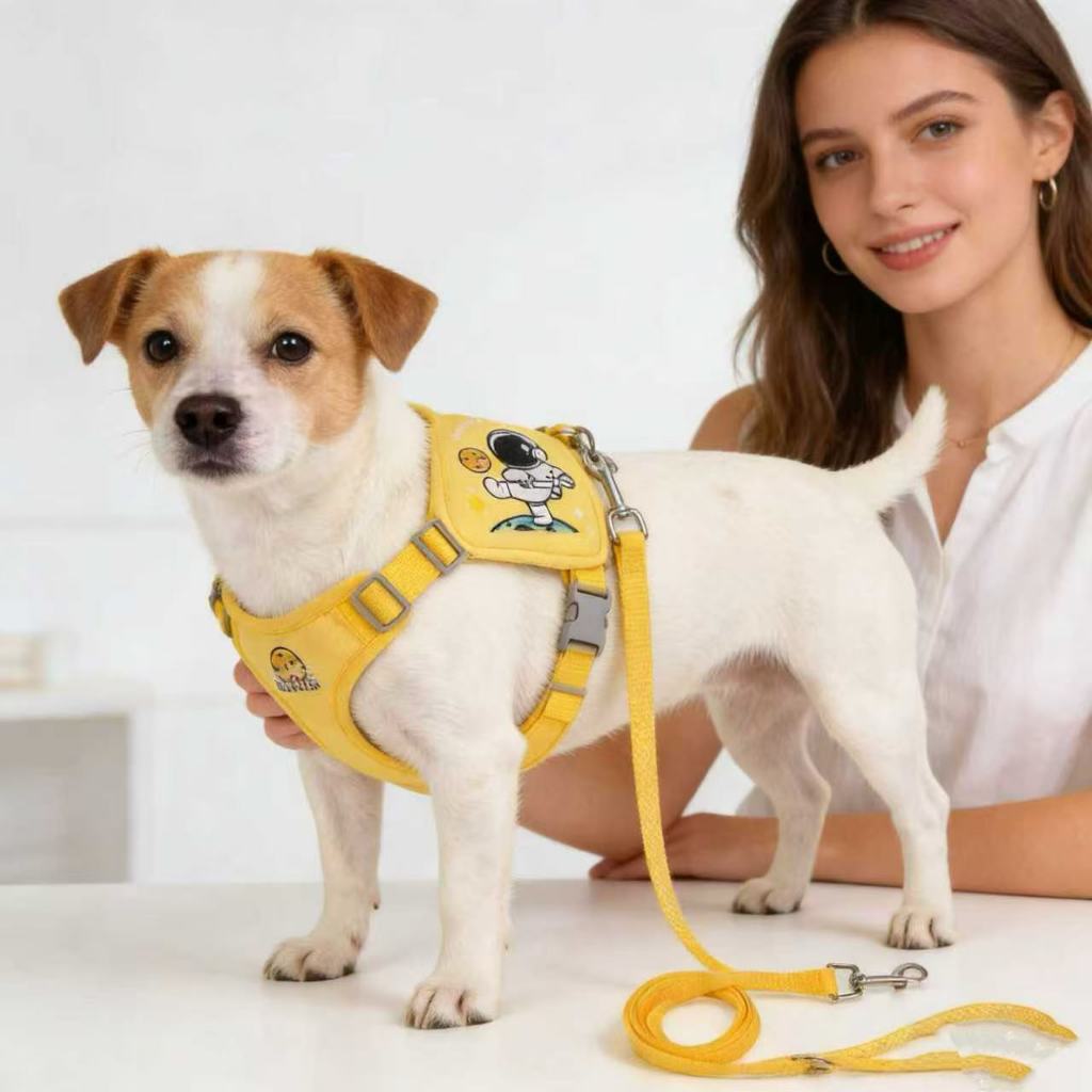 Peitoral Coleira Com Guia e Bolsa Removível Para Cachorro Pet Cães Gatos Pequeno Médio De Viagem em Oferta na Shopee