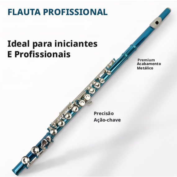 Flutes, Closed Hole C 16 Keys Flute Instrument, Student Flute for Beginner School Orchestra Band, with Cleaning Kit, Car