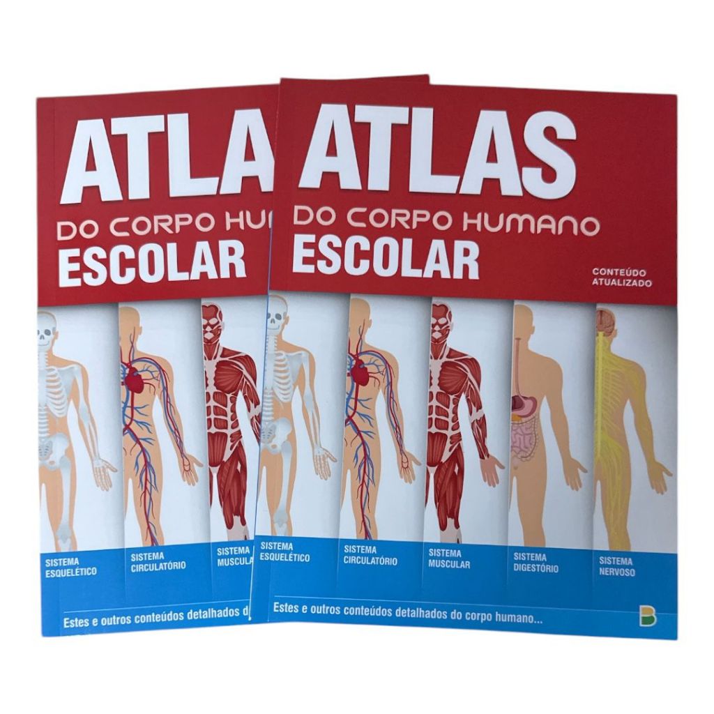 Atlas do Corpo Humano Escolar | Sistema do Corpo Educativo Ilustrado