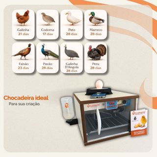 Chocadeira Eclopinto - Até 30 Ovos em Oferta na Shopee