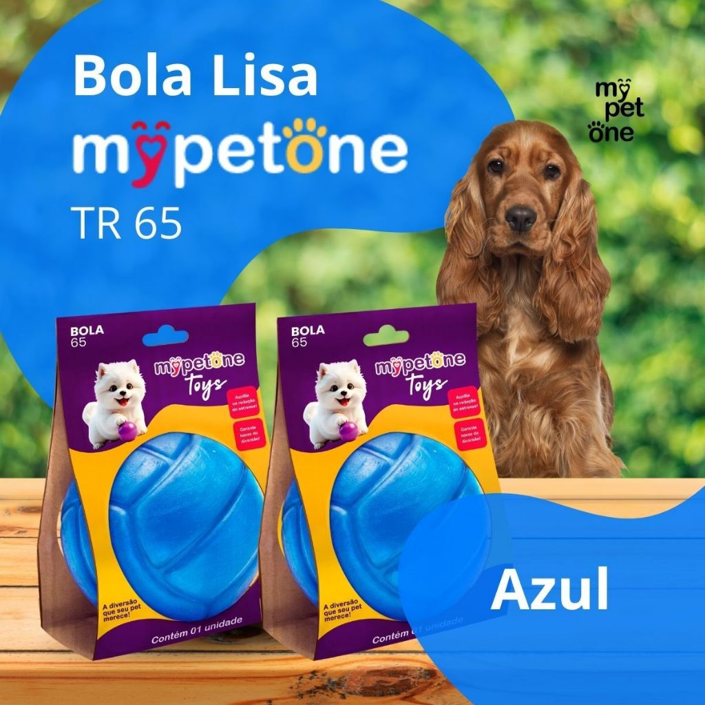 2 Bola Lisa MACIÇA MyPetOne Azul 65mm Brinquedo RESISTENTE Para Cães