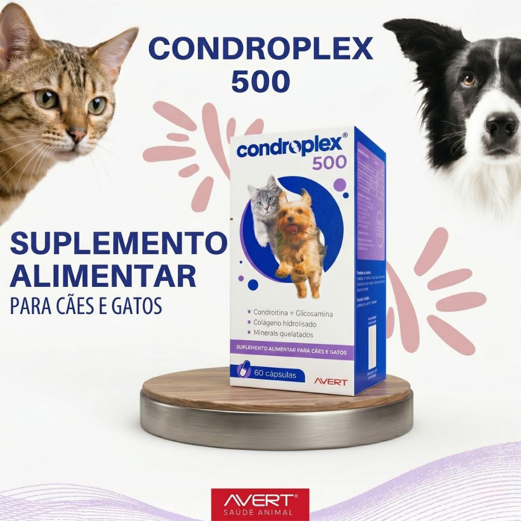 Suplemento Condroplex 500 Avert Cães Gatos Pequeno Porte 60 Cápsulas — imagem 2 de 2
