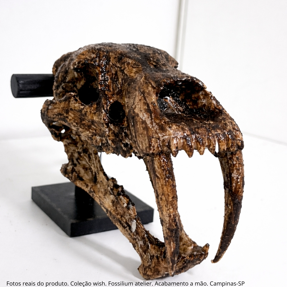 Crânio Tigre Dentes de Sabre Decorativo em PLA com Pedestal Fossilium