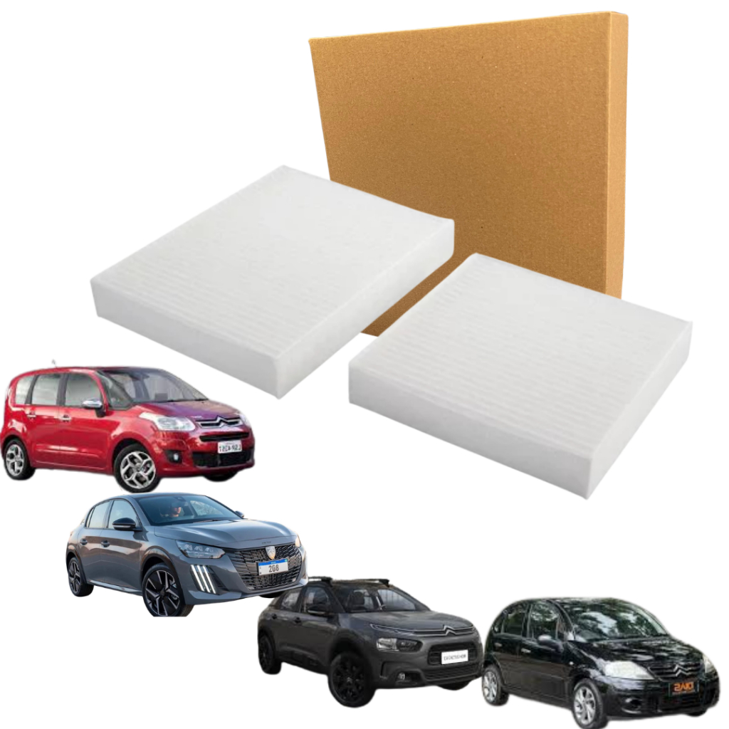 Filtro De Ar Condicionado Peugeot 208 C3 C4 2012- Par CES 1906