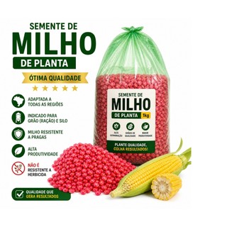 Semente Milho de Planta 5kg Transgênico