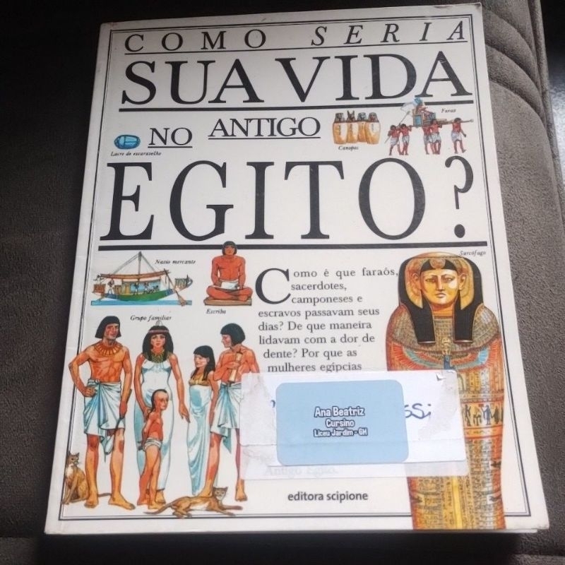 Como Seria sua Vida no Antigo Egito (produto usado) Editora Scipione