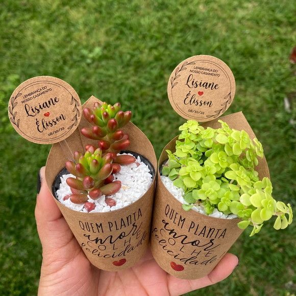 Tag para Suculentas 4x4cm Personalizadas para Lembrancinhas para Casamento, Aniversário, Festa