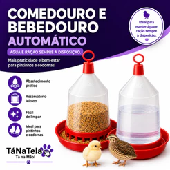 Kit Comedouro e Bebedouro 800ml para Codorna e Pintinho Come/Bebe Aves Resina Plástica Resistente
