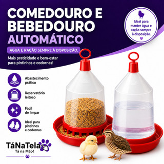 Kit Comedouro e Bebedouro 800ml para Codorna e Pintinho Come/Bebe Aves Resina Plástica Re…