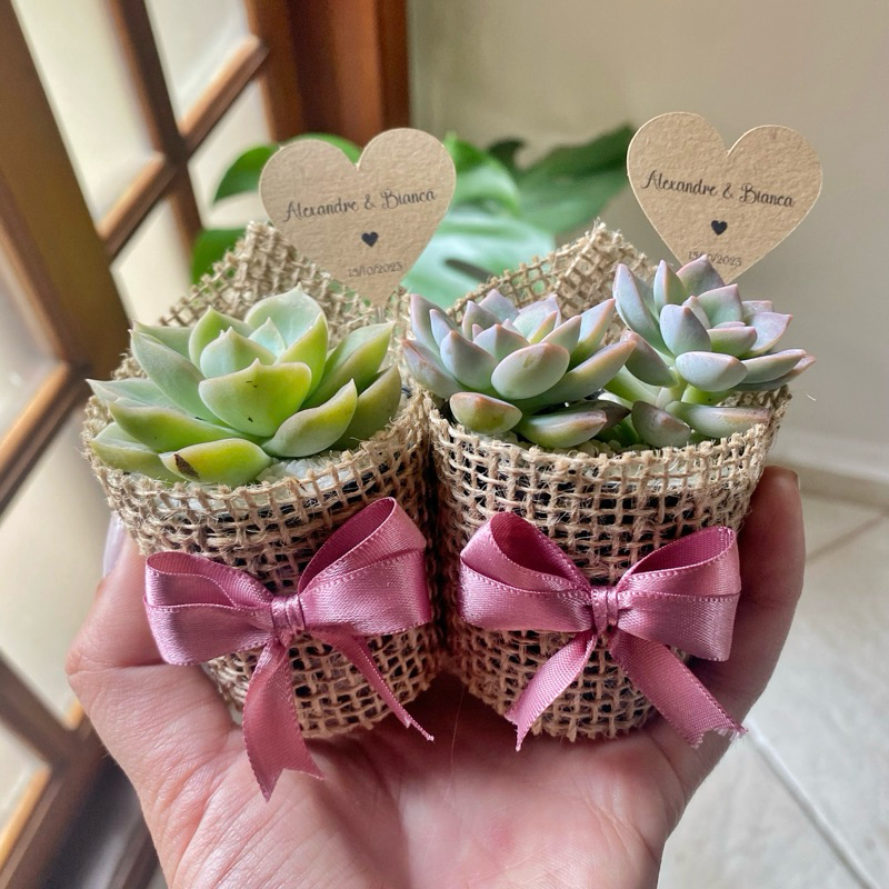 Juta Cachepô Para Mini Suculenta Lembrancinha  | Casamento, Aniversário