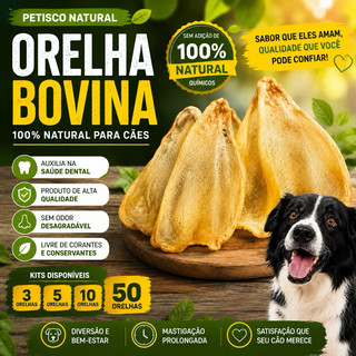 Orelhas Bovina para Cachorro Kit 3, 5 ou 10 Petisco Natural Mordedor Premium