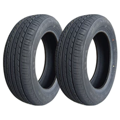 Kit 2 Pneu Delinte Aro 16 205/65r16 99h Dh2