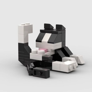 Blocos de Montar Gato Lambe Bola Divertido 62 Peças em Oferta na Shopee