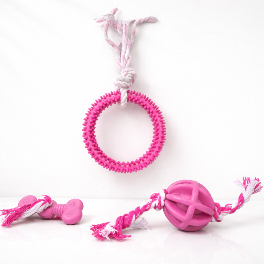 Kit Brinquedos  Anêmona + Bolinha/Bola Carambola Com Corda + Osso/Ossinho Com Corda para Cães