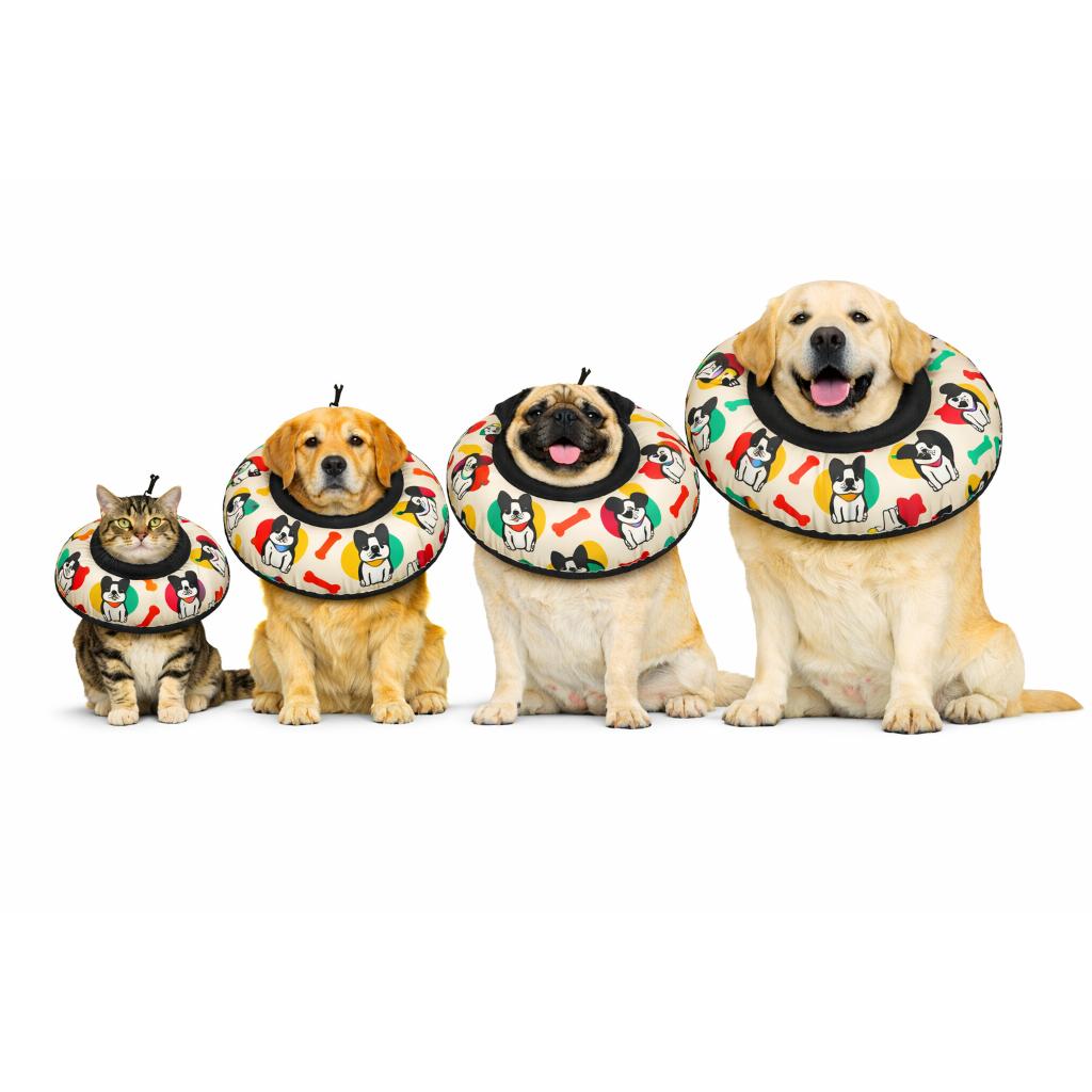 COLAR ELIZABETANO ALMOFADADO CONFORTAVEL FOFINHO OSSO COLORIDO PARA GATOS E CAES