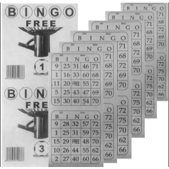 Bloco de Bingo Duplo - Papel Jornal - Pacote com 12 Blocos (100 Folhas cada) - Free