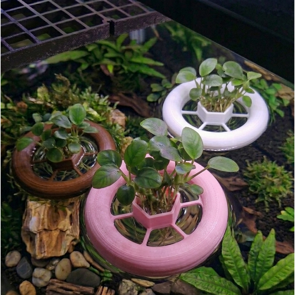 Kit 3 Suportes de Planta de Aquario Flutuantes - Enfeites é Decoração de Aquario