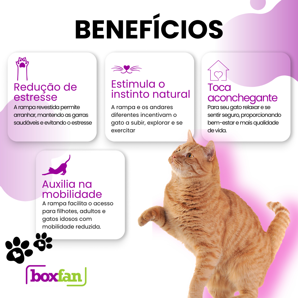 Casa Para Gatos Dois Andares Toca Em Mdf Caramelo Cama Beliche Brinquedo Arranhador Gato Diversão — foto 5