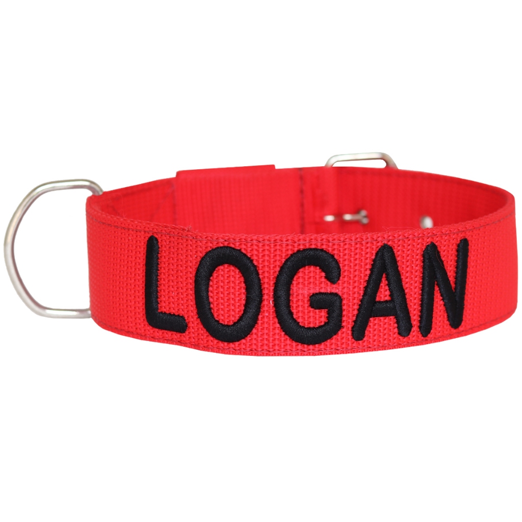 Coleira Para Pit Bull Personalizada Com O Nome Do Seu Pet Produto De Qualidade