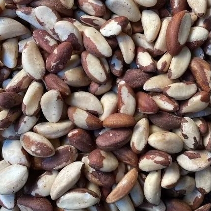Castanha do Pará Inteira Safra Nova 1kg OFERTA ESPECIAL!