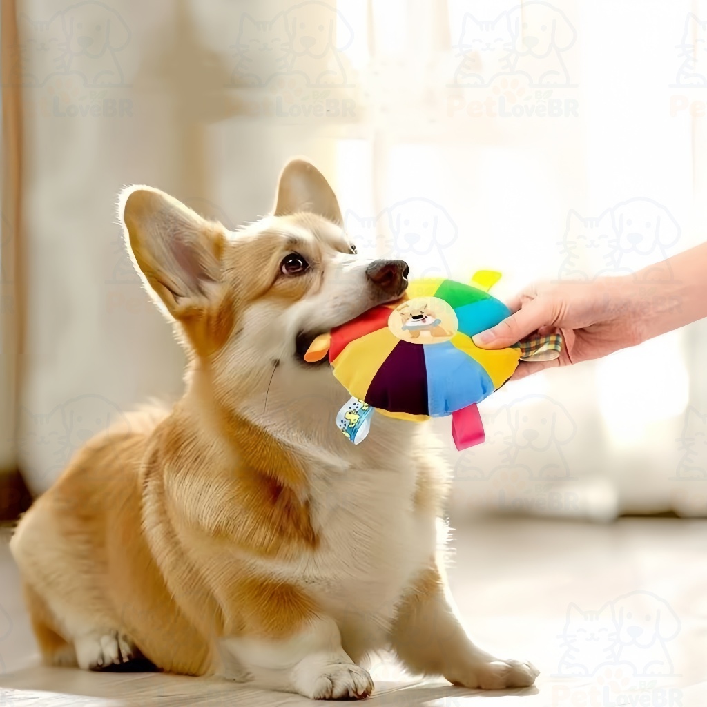Brinquedos para cães, incluindo brinquedos sonoros, frisbee de pelúcia e opções resistentes para aliviar o tédio