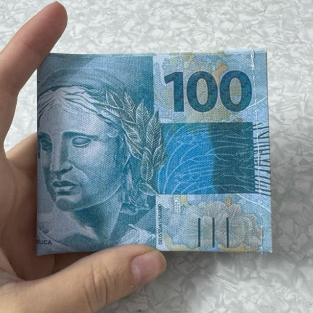 Carteira Masculina Dobrável Compacta Estampa Nota 100