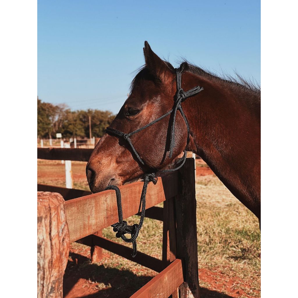 Kit Econômico 3 Cabrestos 7 Nós | Corda 8mm para Manejo Diário de Cavalos Cores Sortidas Resistente