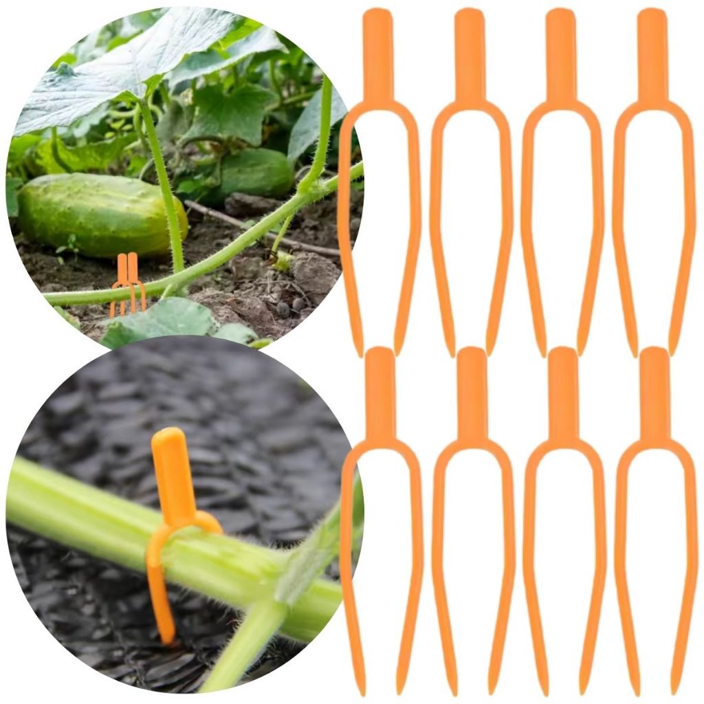 Kit 10/100 Clipes De Planta Estofões Clip De Fixação Grampos De Jardinagem Garfos De Morango Suporte de Raiz
