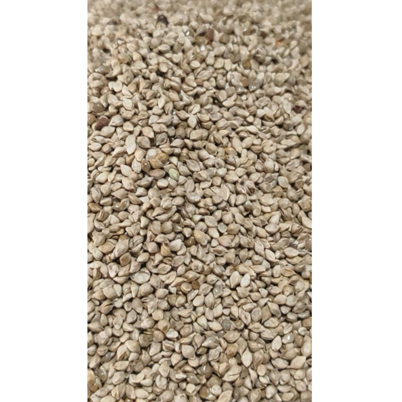 Senha Francesa para pássaros - 1Kg