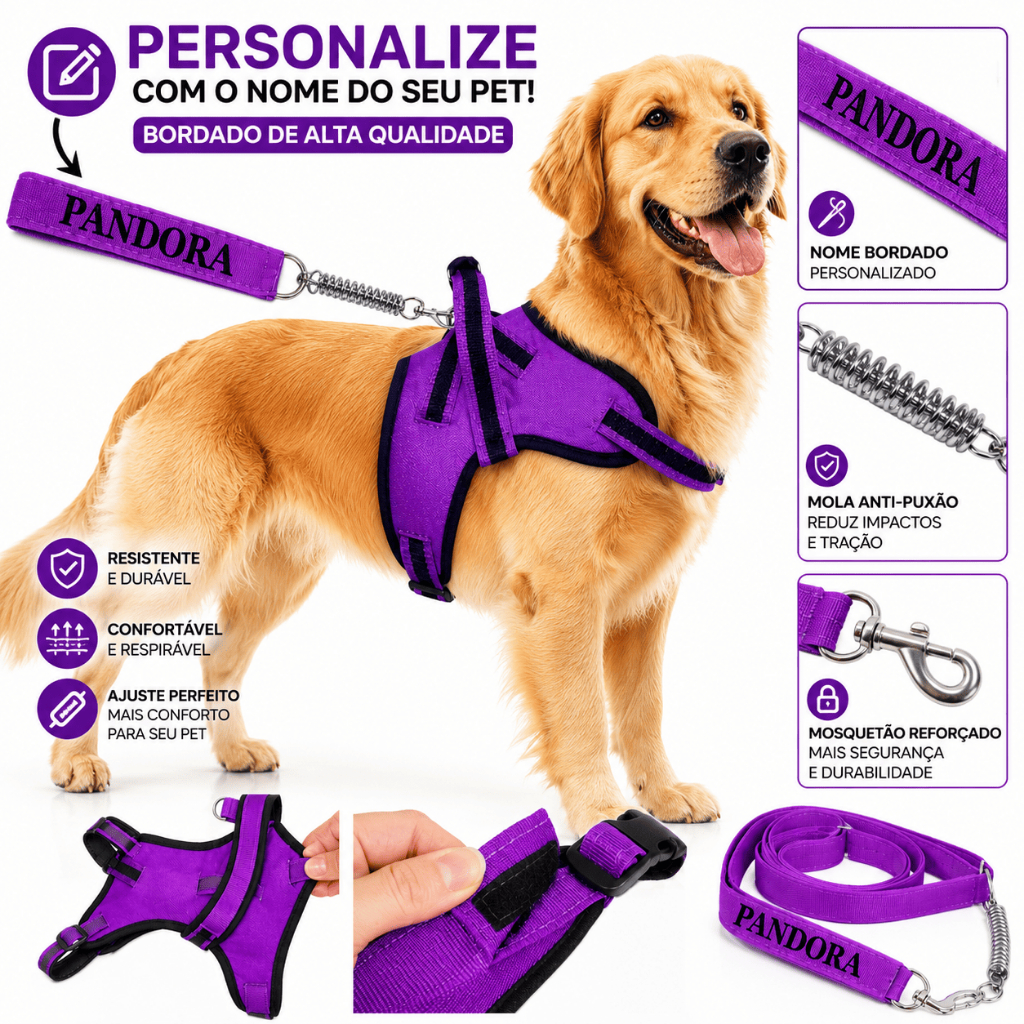 Coleira Personalizada para Cachorro com Nome Bordado + Guia Antipuxão Mola | Médio e Grande Porte