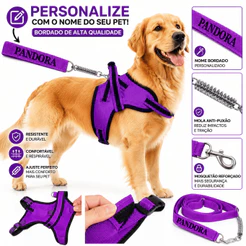 Coleira Personalizada para Cachorro com Nome Bordado + Guia Antipuxão Mola | Médio e Grande Porte