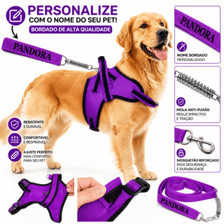 Coleira Personalizada para Cachorro com Nome Bordado + Guia Antipuxão Mola | Médio e Gran…