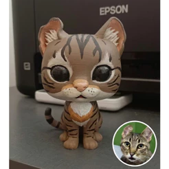 PET PERSONALIZADO BONECO FUNKO
