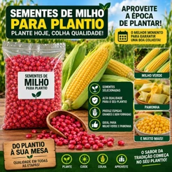 Sementes de Milho Doce para Plantio – Alta Germinação e Sabor Natural