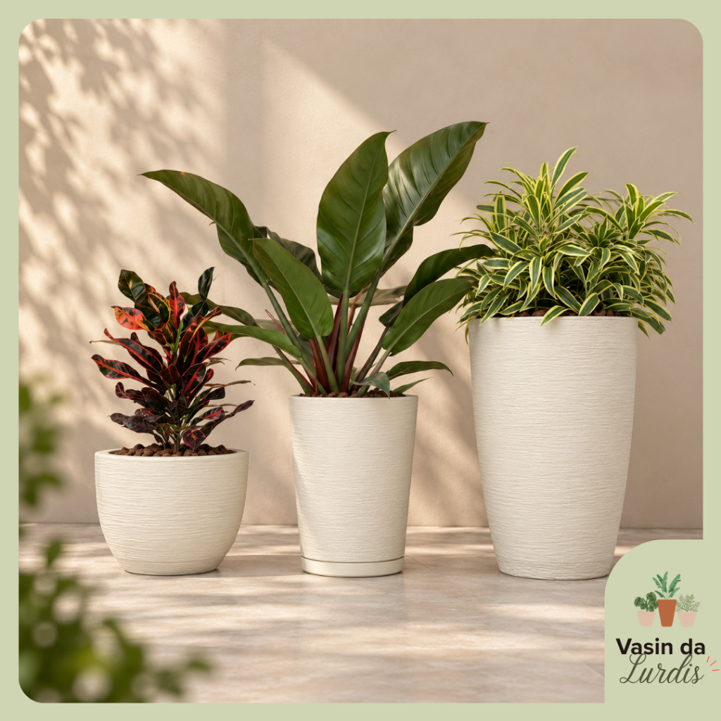 Vaso de planta com acabamento grafiato sala varanda e jardim kit com 3 tamanhos diferentes
