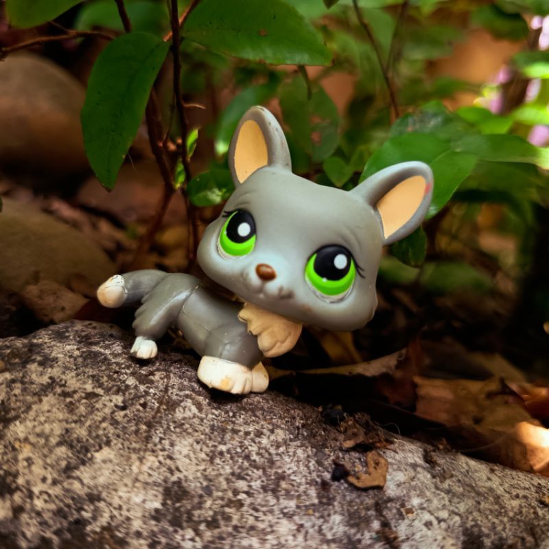 Littlest Pet Shop Corgi (Possui desgastações e algumas manchinhas)