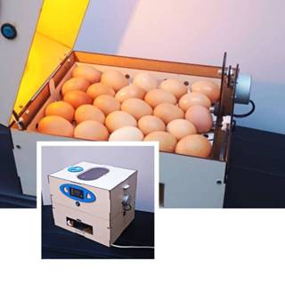 CHOCADEIRA DE OVOS AUTOMÁTICA PARA 30 A 60 OVOS. em Oferta na Shopee