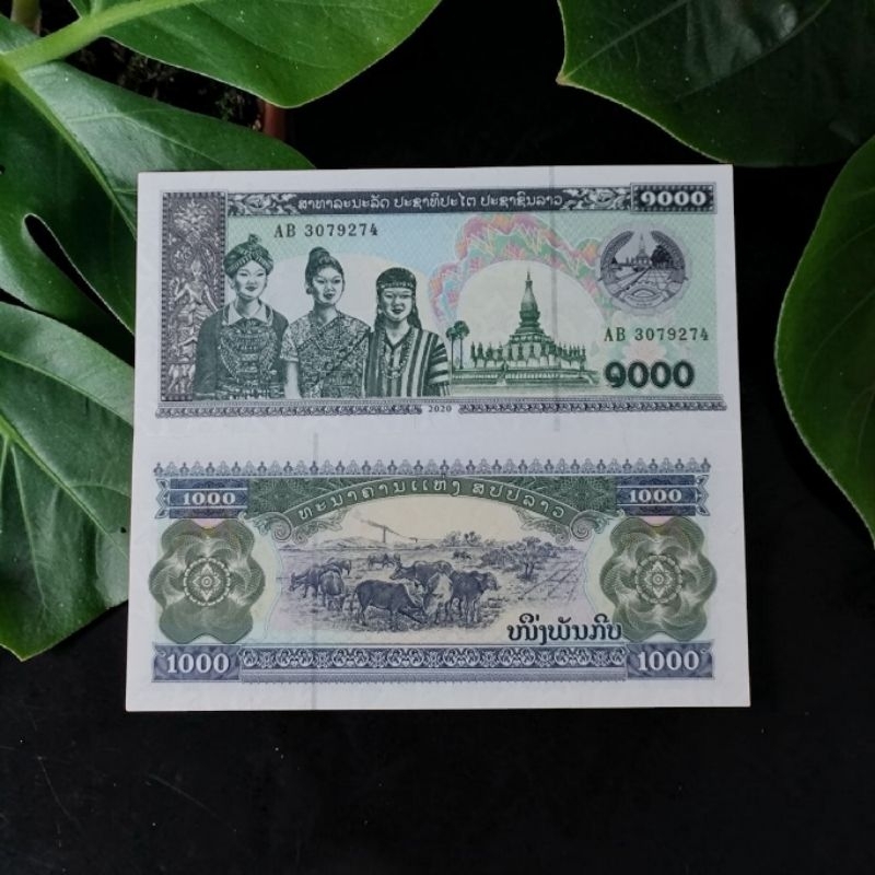 CÉDULAS ANTIGA DO MUNDO ÁSIA FLOR DE ESTAMPA PAÍS  LAOS.