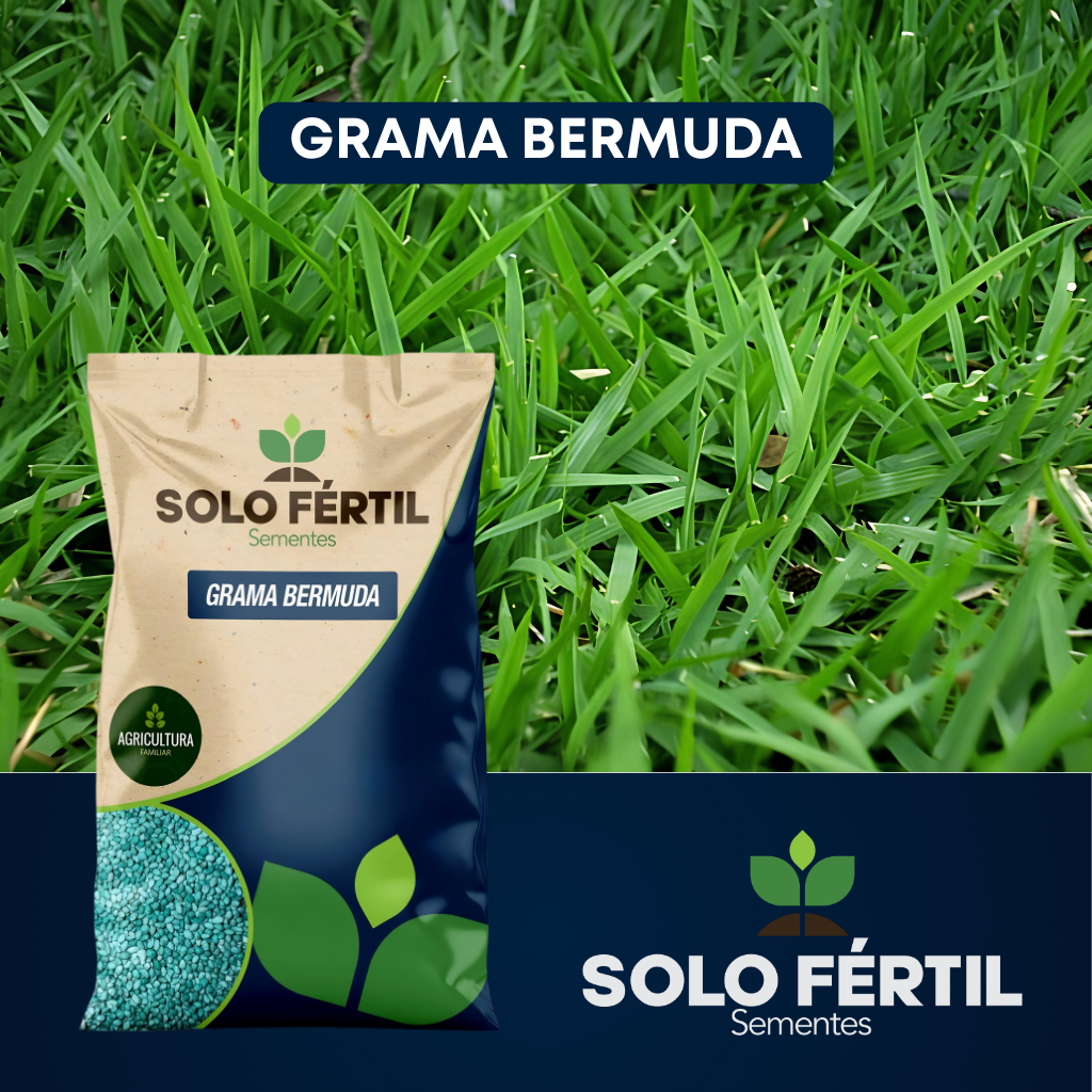 62.000 Sementes De Grama Bermuda Campo De Futebol (20m2)