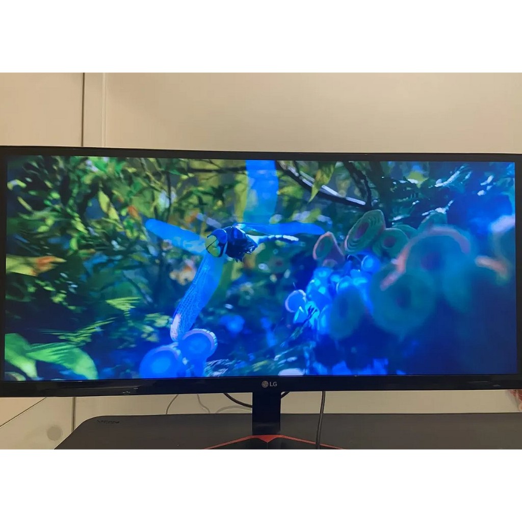 Monitor Lg 29'' Full Hd Ips 29um69g-b 75hz Gamer Ultrawide (Usado)