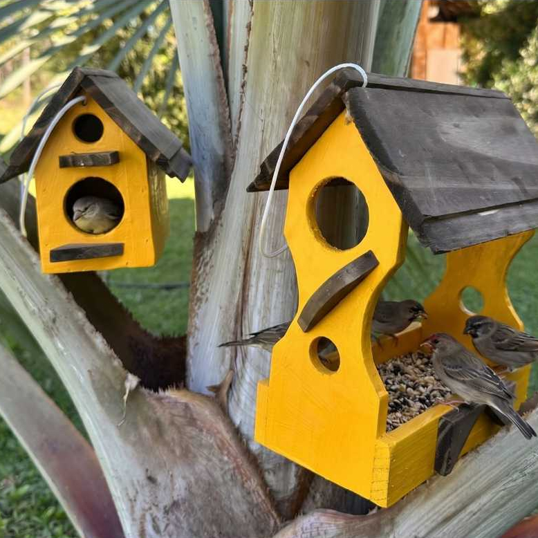 Kit Casinha e Comedouro para Pássaros Feitos de Madeira – Decoração Rústica - Jardim - Pássaros