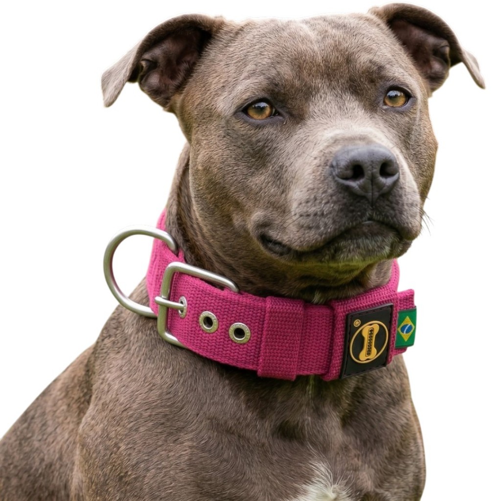 Coleira Pink Cor Pitbull Bullmastiff Cane Corso Kangal Husky Dalmata Bull Terrier Pit Dogue Amorosso